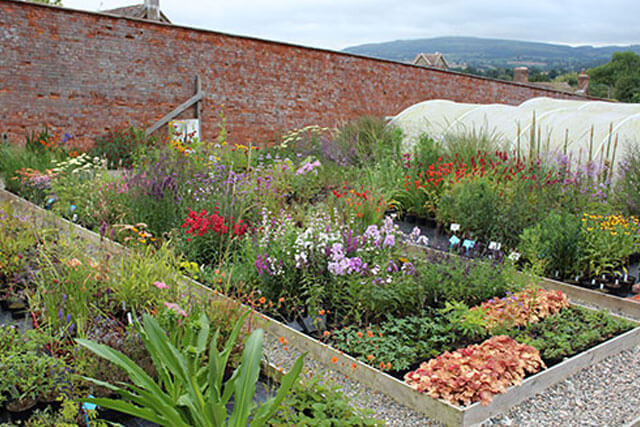 nursery